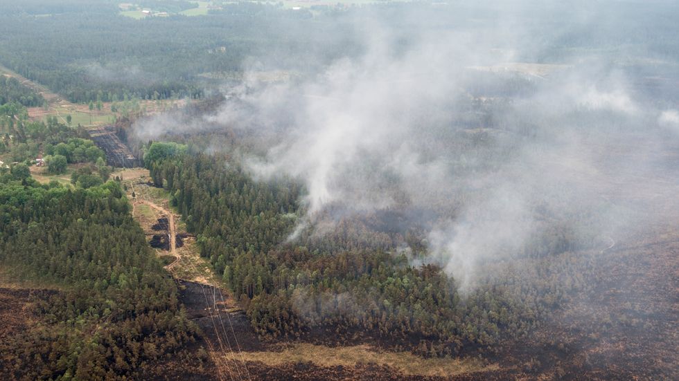 En omfattande brand rasar i en mosse utanför Bredaryd i Småland.