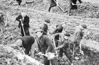 Moskvabor gräver skyddsdiken mot tyska tanks.