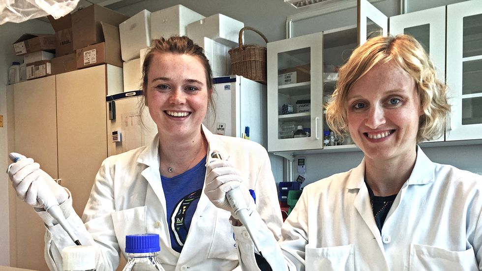 Julia König (till höger) och hennes doktorand Savanne Holster vid Örebro universitet ansvarar för världens första studie som ska ta reda på om ett byte av tarmflora kan hjälpa patienter med IBS och lindra både fysiska och psykiska besvär.
