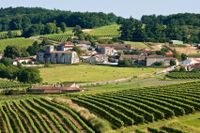 Böljande landskap och solblekta byar präglar regionen Cognac.