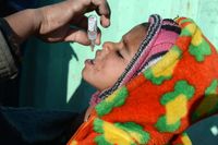 Ett barn i Kandahar  i Afghanistan blir vaccinerat mot polio genom OPV, försvagat poliovirus som ges som droppar i munnen.