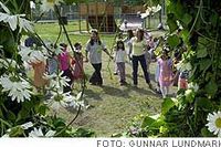Barn och vuxna firar midsommar i Rinkeby.