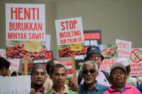 Arbetare i Malaysia protesterar mot ett minskat användande av palmolja. Bild från 2018.