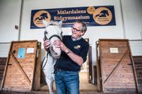Gymnasiet ska dela stall och lokaler med ett rid- och friskvårdscenter i Gustavsberg. Men de kommer att ha sina egna hästar. Från början fem – men de räknar med 14.