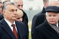 Ungerns premiärminister Viktor Orbán, till vänster, och ledaren för Polens regeringsparti Lag och rättvisa, Jaroslaw Kaczynski under ett besök vid den före detta polske presidenten Lech Kaczynskis grav i december 2016.