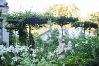 Claus Dalby blandar in blekgula och krämgula blommor i sin vita trädgård utanför Århus på Jylland