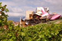 En vingård med unik arkitektur finns med på listan över världens bästa vingårdar.