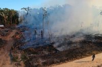 En brandhärjad del av Amazonas regnskog i Labrea, Brasilien. I Labrea bränner lantbrukare ofta skogen för att använda marken för bete och odling. Arkivbild.