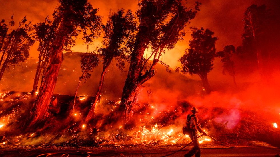 Bränderna har härjat i Kalifornien under flera veckor.