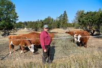 Magnus Josefsson, småbrukare i Lilla Bärsta, har fått foder till sina djur via insamling på sociala medier. 