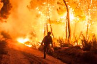 Spanien är ett av flera europeiska länder som drabbats av skogsbränder senaste tiden.