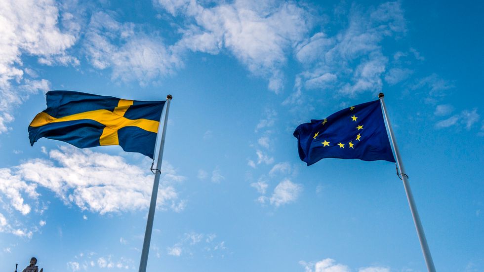 Sverige behöver ta tag i situationen på arbetsmarknaden och lyssna till experter.