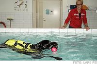 Labradoren Bazze trivs i vattnet. Simning är en skonsam träning som passar bra, bland annat eftersom femåringen har problem med tassarna. Att få Bazze att minska i vikt med hjälp av läkemedel är inget som Jeanette Boström vill testa.