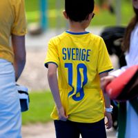 Är svenskar för coola för 6 juni-firande?