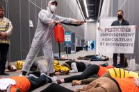 Demonstranter vid COP15 i Montreal utklädda till insekter sprejas symboliskt i en protest mot bekämpningsmedel. 