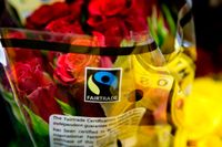 Försäljningen av blommor har ökat med 20 procent i Sverige och hälften av alla rosor har fairtradesymbolen.