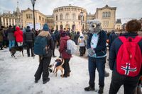 Liksom i Sverige är vargen kontroversiell i Norge. Arkivbild från vargvänliga demonstrationer i Oslo.