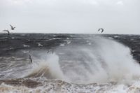 En storm i Finland orsakar hårda vindbyar i Sverige, men under torsdagseftermiddagen väntas det blåsa mindre. Arkivbild.