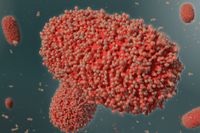 En 3D-illustration föreställande apkoppsvirus.