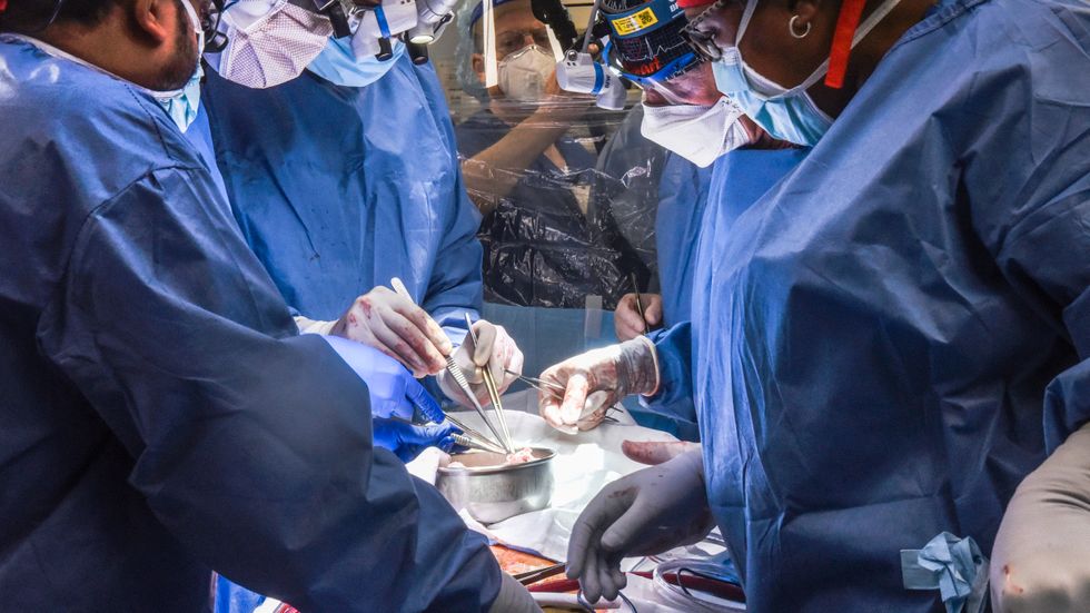 Bild tagen under den sju timmar långa hjärttransplantationen i Baltimore i fredags.