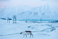 De senaste åren har utsläppen från kolkraftverket i Longyearbyen på den norska ögruppen Svalbard ökat. Arkivbild.