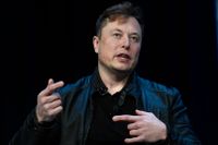 Teslas vd Elon Musk.