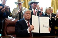 USA:s president Donald Trump lägger sitt första veto.