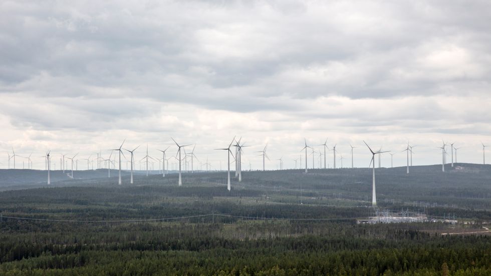 Vindkraftverk som detta i Piteå har pressat priserna på el – men på bekostnad av att systemet är mindre stabilt när det inte blåser.