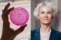 Sverige har lyckats minska överanvändningen av antibiotika, men trots det fortsätter antibiotikaresistensen att öka även här, skriver Karin Meyer.