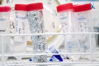 På Karolinska Institutet i Huddinge arbetar forskare intensivt med att ta fram ett vaccin mot det nya coronaviruset.