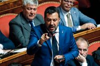Italiens inrikesminister Matteo Salvini talade i senaten på tisdagen. Hans förslag om en snabb förtroendeomröstning föll.