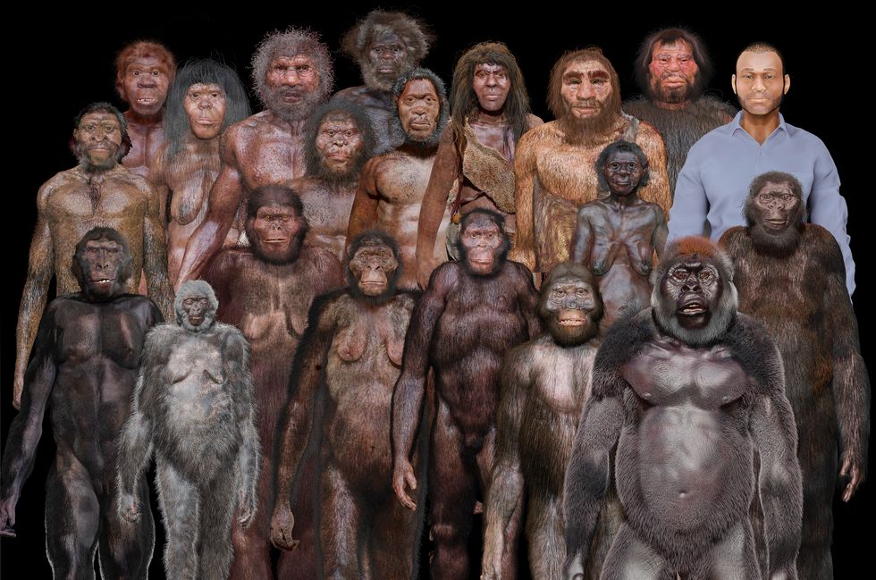 Människan tänker gärna gruppsjälviskt och sådant stamtänkande genomsyrar sannolikt inte bara Homo sapiens utan alla de homininer som här illustreras.