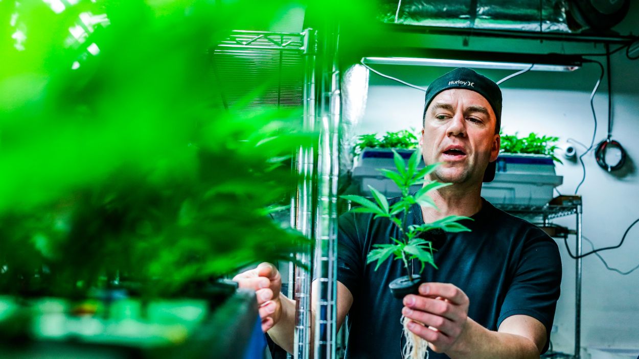 John David (JD) Koontz sade upp sig från sitt jobb som dataanalytiker för att odla marijuana på heltid. ”Känn på plantorna och lukta sedan på era fingrar. Det här är schyssta grejer”, säger han med uppenbar stolthet.