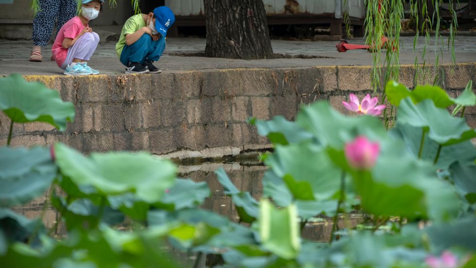 Barn tittar på lotusblommor i en damm i en park i Peking. Bilden är tagen i juli i år.