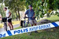 Bladlusbajs från lindarnas blad orsakar halka på cykelbanor i Stockholm.