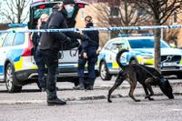 En man i 35-årsåldern sköts ihjäl i Linköping den 28 januari. En av flera dödskjutningar som inträffat i staden på sista tiden.