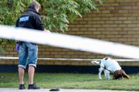 Den 8 augusti i fjol blev en man skjuten nära Vendelsfridsparken i Malmö. Nu döms två bröder till långa fängelsestraff för bland annat grov misshandel.