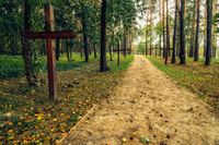 Korsen markerar de massgravar i Kurapaty-skogen utanför Minsk där offren från ”de avrättade poeternas natt” vilar. 