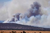 Röken stiger från skogsbränder i New Mexico.