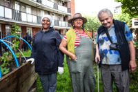 Christine, trädgårdmästaren Hilda Castello-Binga och Vince arbetar i Lambeth GP Food Co-ops trädgård Stockwell. I skuggan av ett subventionerat höghus odlar de nu grönsaker.