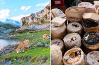 Smakresa i Asturien – från bönor till lyxkrog