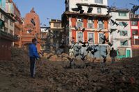 En nepalesisk man matar duvor bland ruinerna i Katmandu.