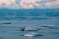 Arktis och Svalbard hör till de områden i världen som drabbats hårdast av klimatförändringarna.