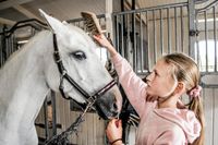 Filippa, 11 år, bor på en hästgård och tränar och tävlar i hoppning. Ponnyn Räkan, 10 år, tar Filippa hand om.