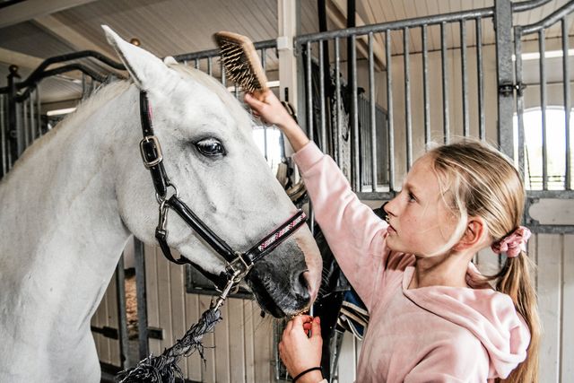 Filippa, 11 år, bor på en hästgård och tränar och tävlar i hoppning. Ponnyn Räkan, 10 år, tar Filippa hand om.
