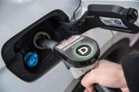 Från och med 1 augusti 2021 ska inblandningen av biodrivmedel öka i svenskt fordonsbränsle, och den 1 januari 2022 förbjuds bränslen som baseras på palmolja Arkivbild.
