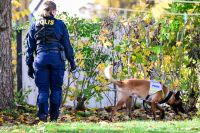 Polis söker med hund vid en adress i Vetlanda.