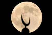Islamabad, Pakistan:   
 Supermånen stiger över en moské. ”Myter om att det skulle kunna påverka förhållandena på jorden i termer av fler katastrofer är bara trams och ingenting som har någon vetenskaplig koppling”, säger Peter Linde, astronom och ordförande i Tycho Brahe-sällskapet till TT.