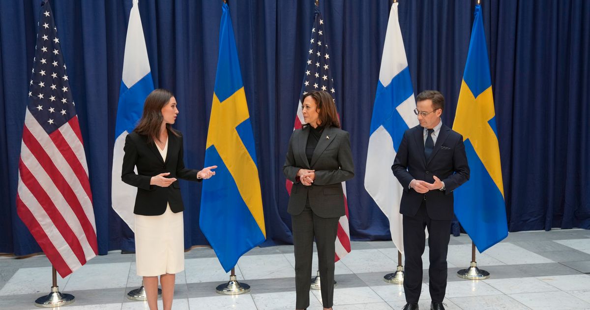 Vad händer om Finland går före Sverige in i Nato?