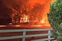 Terrängbrand vid Green Wattle Creek nära Oakdale i delstaten New South Wales i december. Arkivbild.